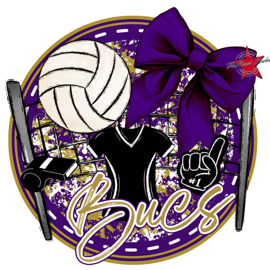 Bucs Circle Volleyball Frame-Purple & Gold