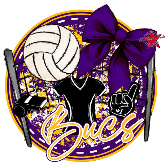 Bucs Circle Volleyball Frame-Purple & Yellow