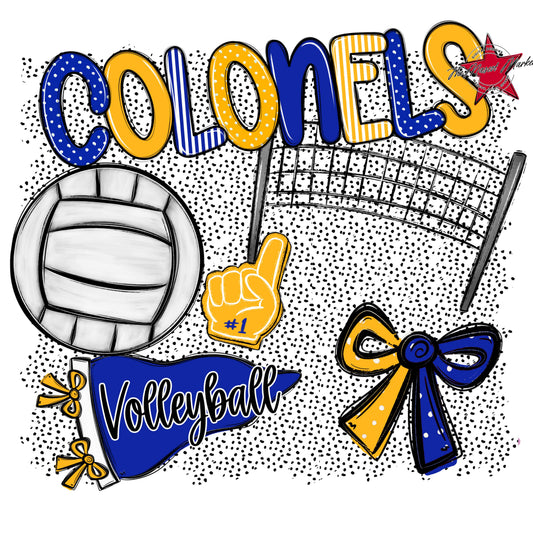 Colonels Volleyball Spirit-Royal Blue & Yellow