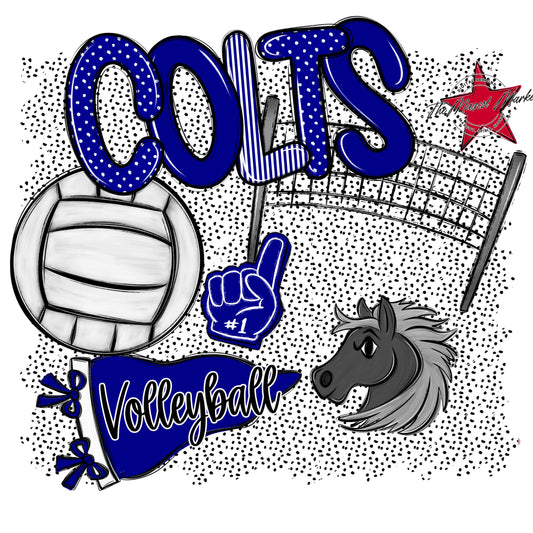 Colts Volleyball Spirit-Blue