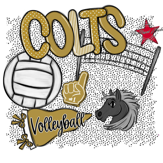 Colts Volleyball Spirit-Gold