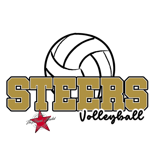 Steers Varsity Volleyball-Gold