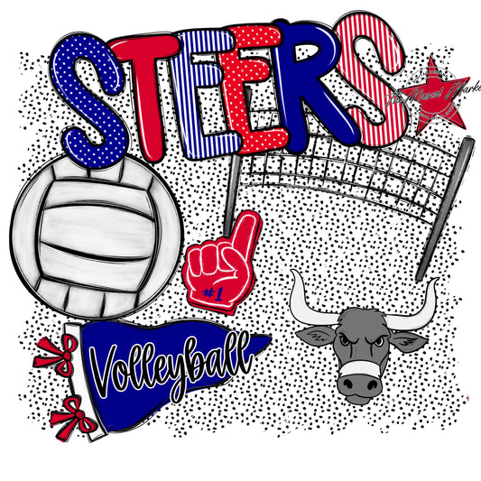 Steers Volleyball Spirit-Blue & Red