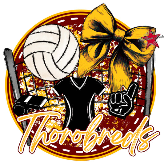Thorobreds Circle Volleyball Frame-Maroon & Yellow