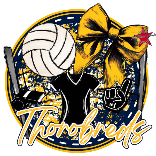 Thorobreds Circle Volleyball Frame-Navy & Yellow