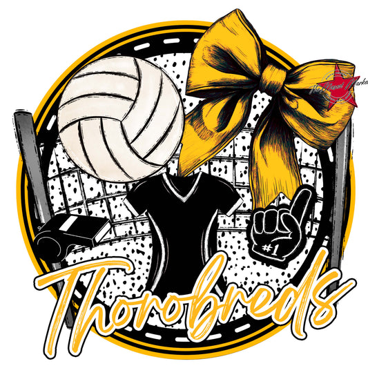 Thorobreds Circle Volleyball Frame-Yellow
